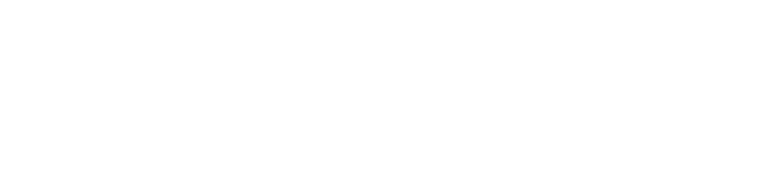 Holz Voigt